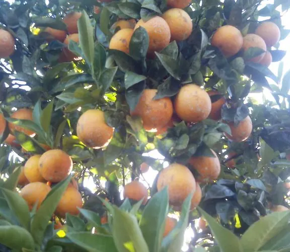 Ferienhaus Quinta Da Lage Barcelos