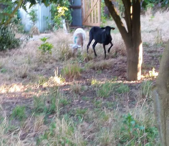 Ferienhaus Quinta Da Lage *