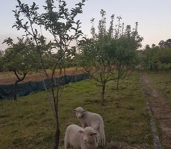 Casa de Férias Quinta Da Lage *