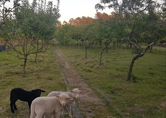 Quinta Da Lage Ferienhaus *