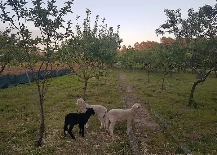 Quinta Da Lage * Barcelos